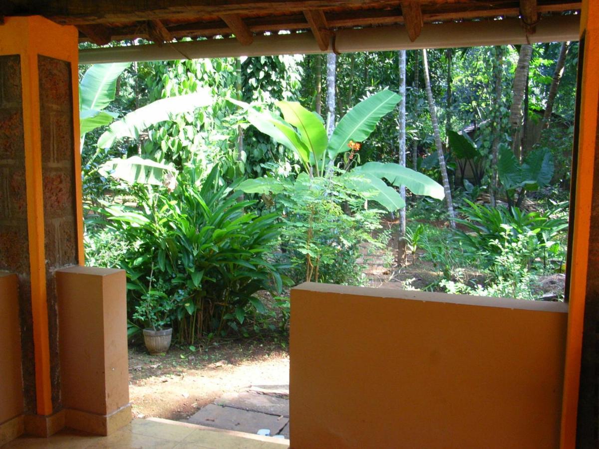 Dudhsagar Plantation Villa Cormonem Ngoại thất bức ảnh