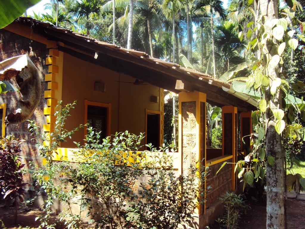 Dudhsagar Plantation Villa Cormonem Ngoại thất bức ảnh