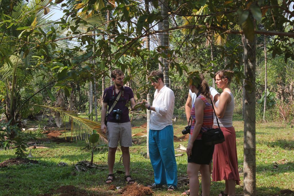 Dudhsagar Plantation Villa Cormonem Ngoại thất bức ảnh