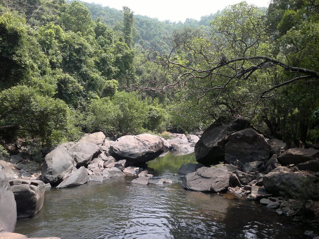 Dudhsagar Plantation Villa Cormonem Ngoại thất bức ảnh