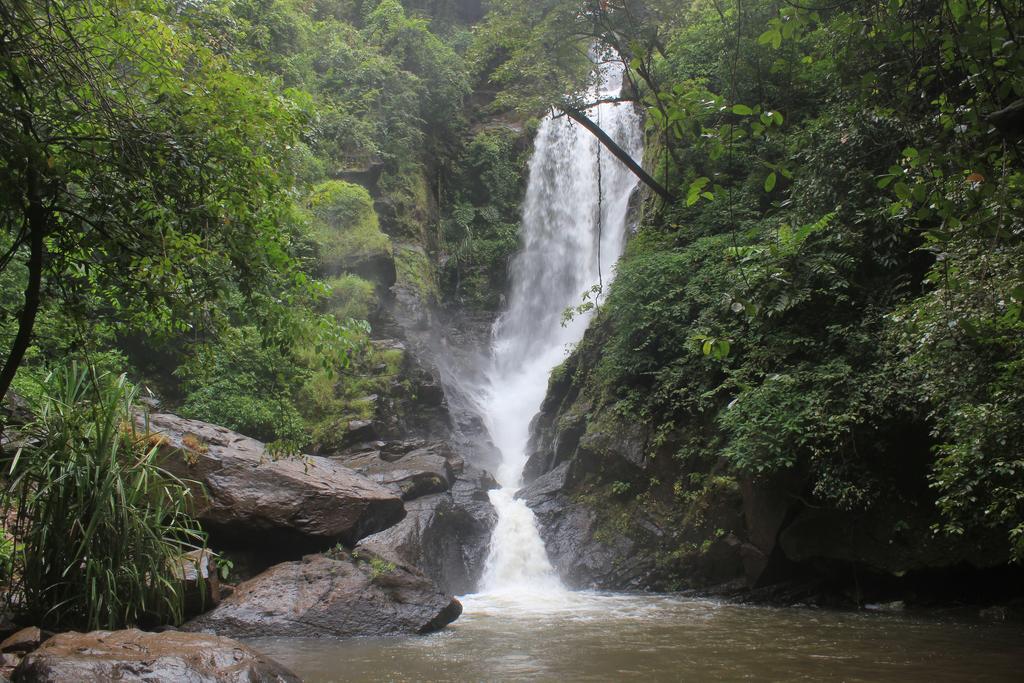Dudhsagar Plantation Villa Cormonem Ngoại thất bức ảnh