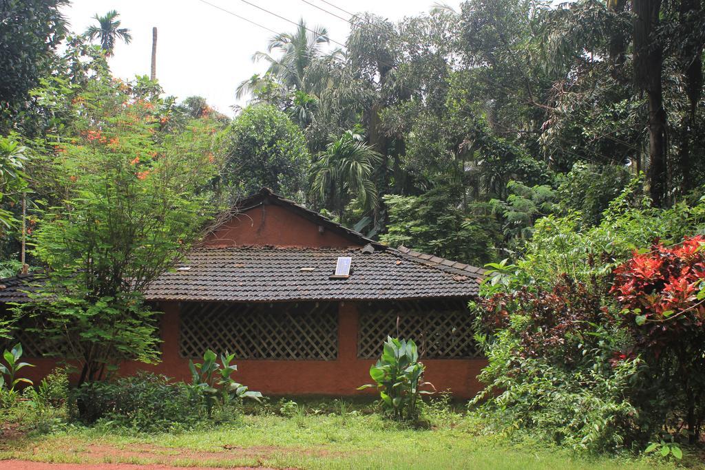 Dudhsagar Plantation Villa Cormonem Ngoại thất bức ảnh