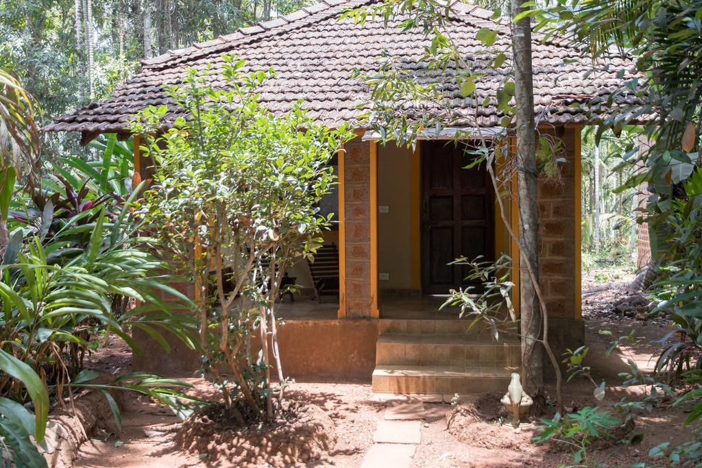 Dudhsagar Plantation Villa Cormonem Ngoại thất bức ảnh