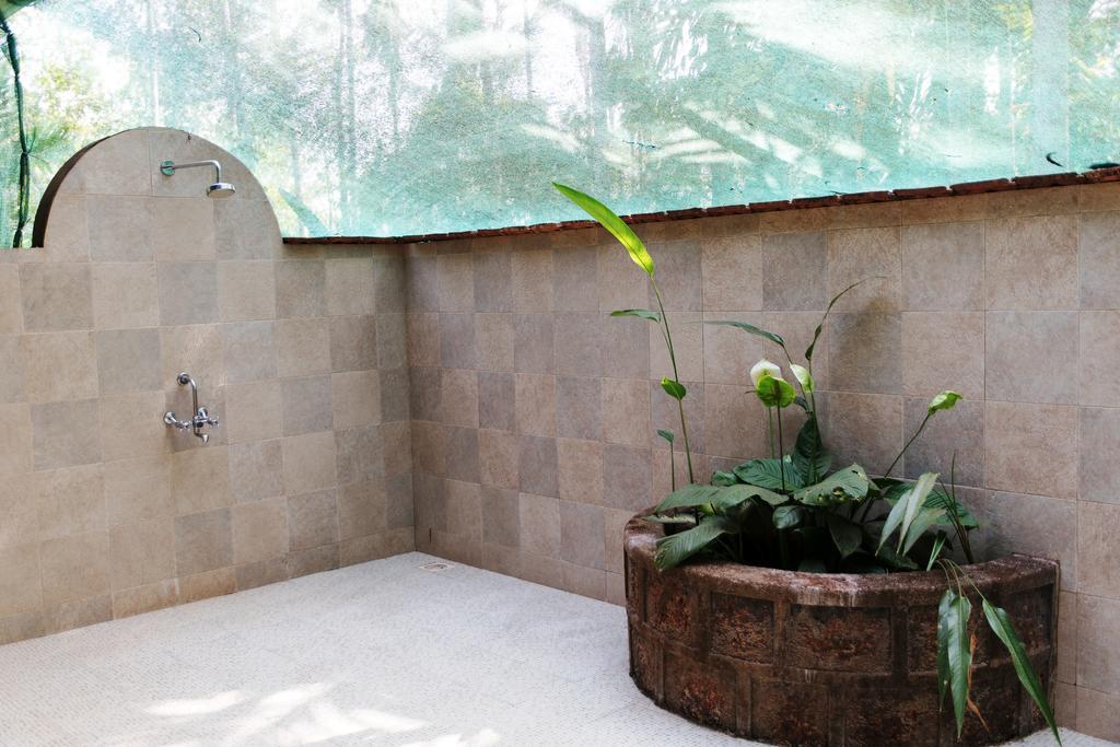Dudhsagar Plantation Villa Cormonem Ngoại thất bức ảnh