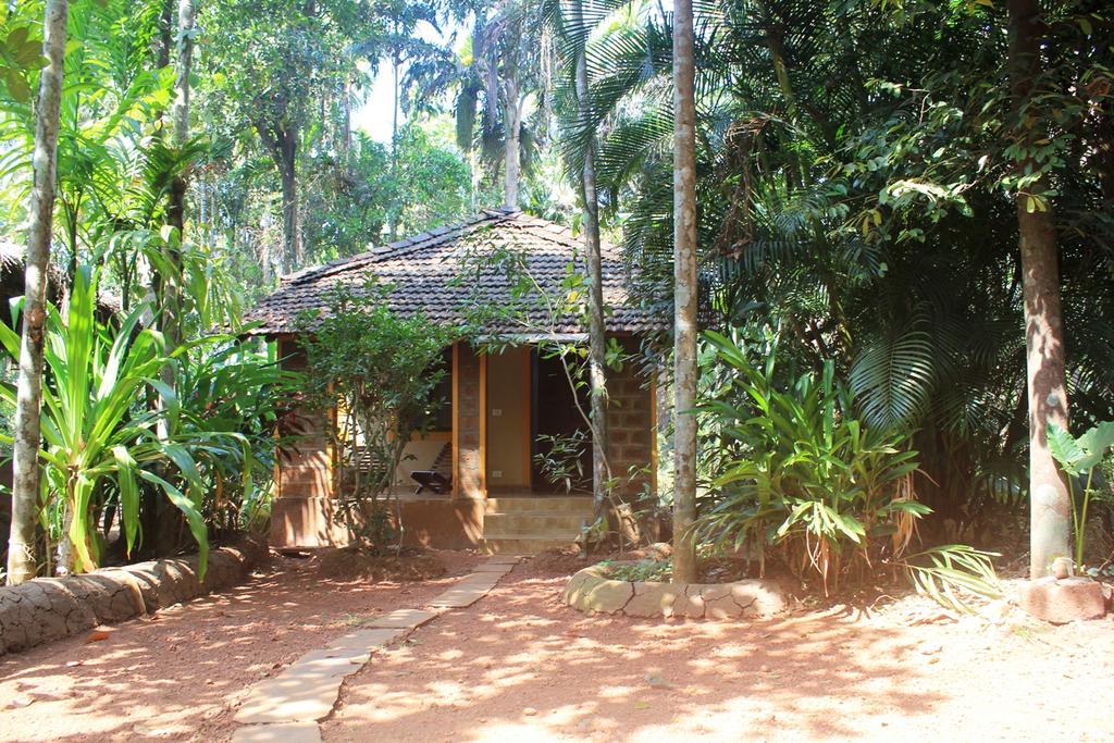 Dudhsagar Plantation Villa Cormonem Ngoại thất bức ảnh