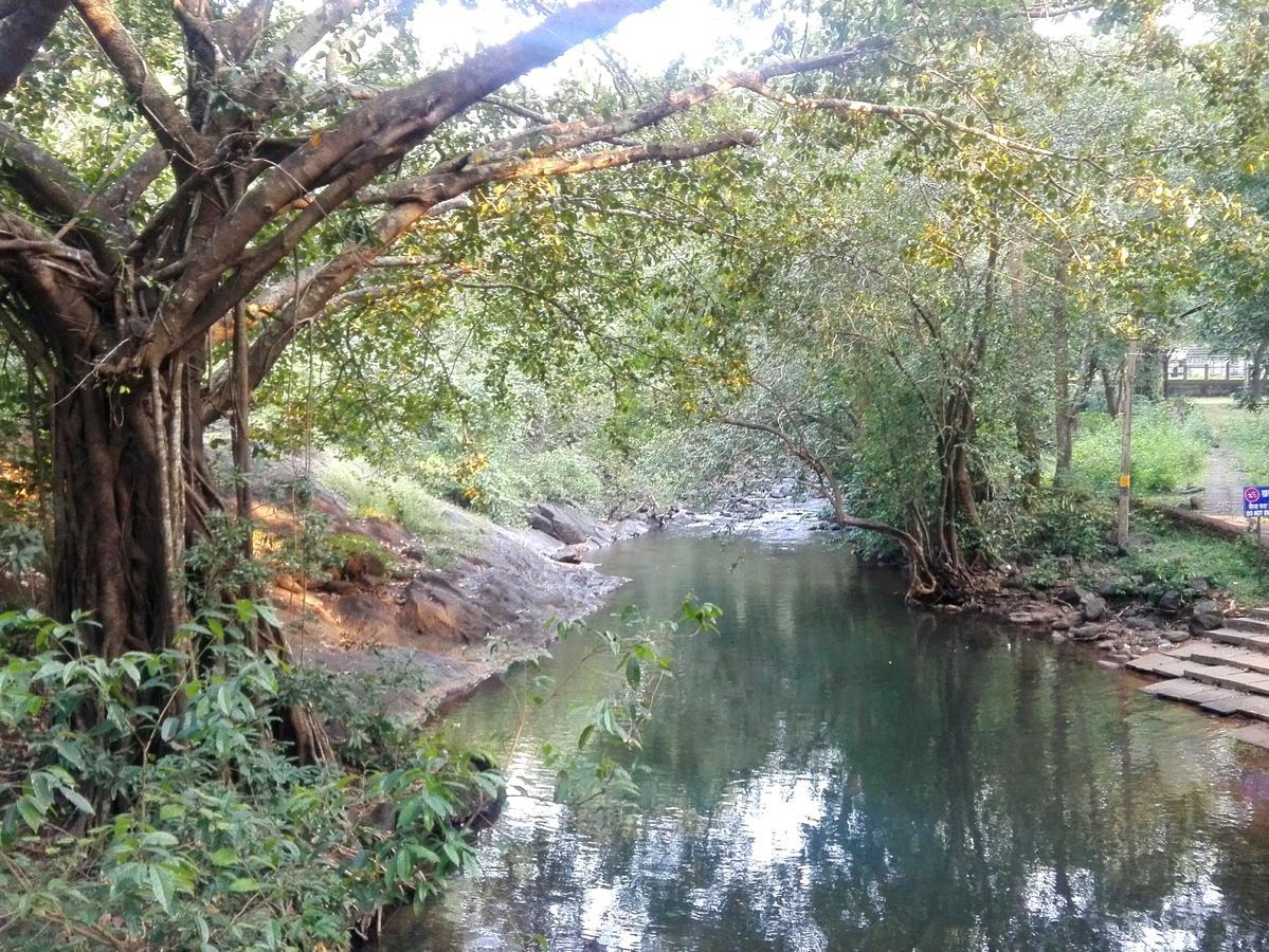 Dudhsagar Plantation Villa Cormonem Ngoại thất bức ảnh