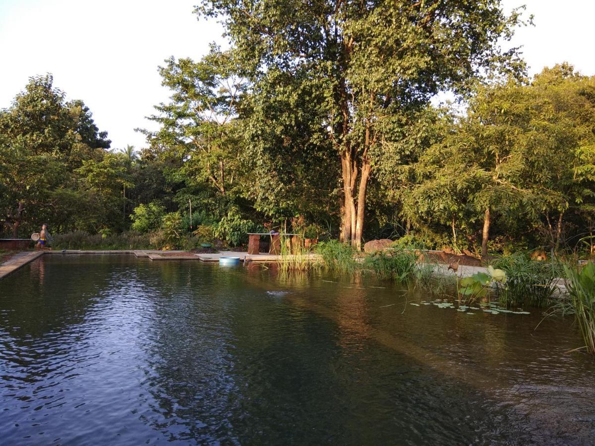 Dudhsagar Plantation Villa Cormonem Ngoại thất bức ảnh